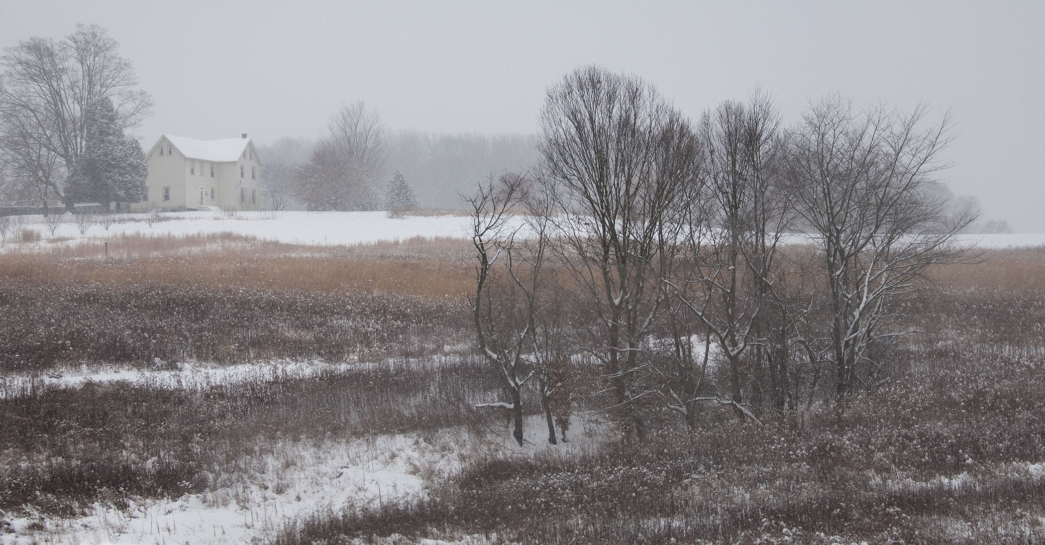 Longwood Gardens, Longwood Gardens Meadow,